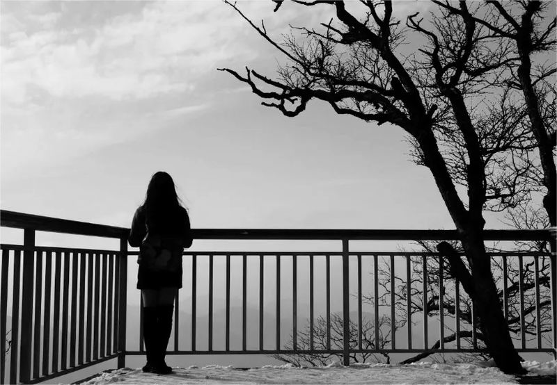 640_wx_fmt=png&from=appmsg&tp=webp&wxfrom=5&wx_lazy=1&wx_co=1 (1)