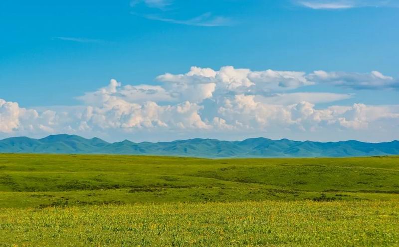 640_wx_fmt=png&from=appmsg&tp=webp&wxfrom=5&wx_lazy=1&wx_co=1 (2)